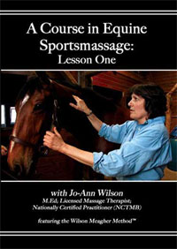 Photo of DVD - a Course in Equine Massage